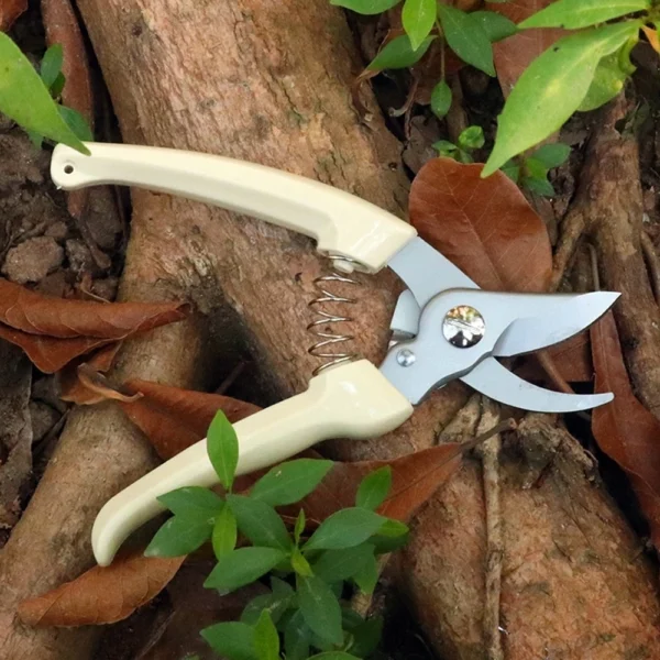 Pruner Orchard And The Garden Hand Tools Bonsai